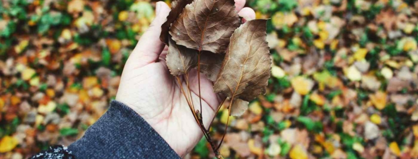 A hand holds dried autumn leaves, symbolizing memories and emotional flashbacks returning from the past.